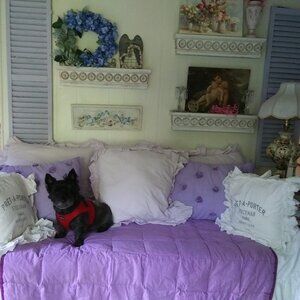 Meet your Posher, Andrea